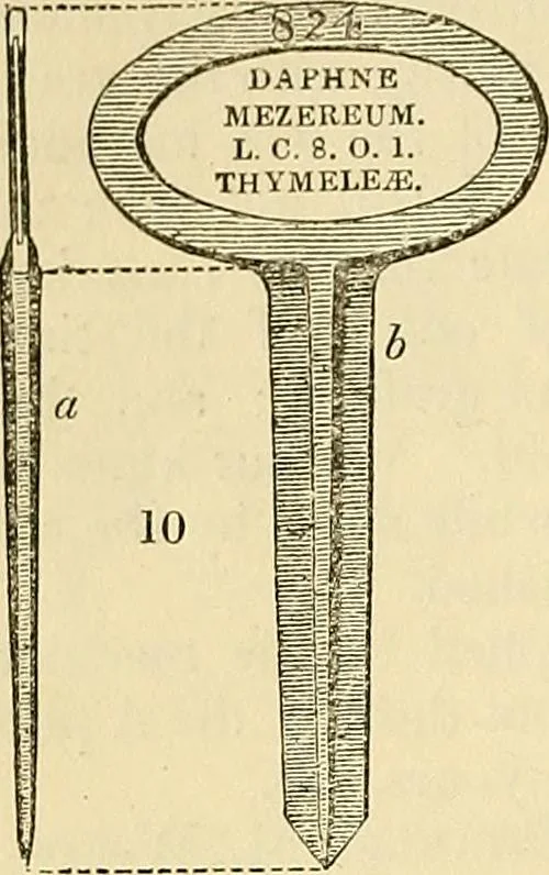 An illustration from The gardener's magazine and register of rural & domestic improvement, 1826, leaf 54