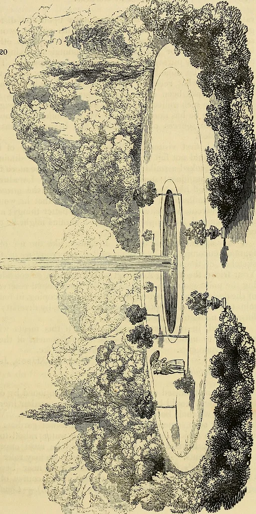 An illustration from The gardener's magazine and register of rural & domestic improvement, 1826, leaf 549