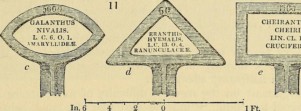 An illustration from The gardener's magazine and register of rural & domestic improvement, 1826, leaf 55