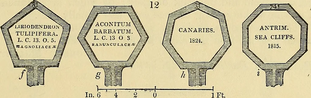 An illustration from The gardener's magazine and register of rural & domestic improvement, 1826, leaf 55