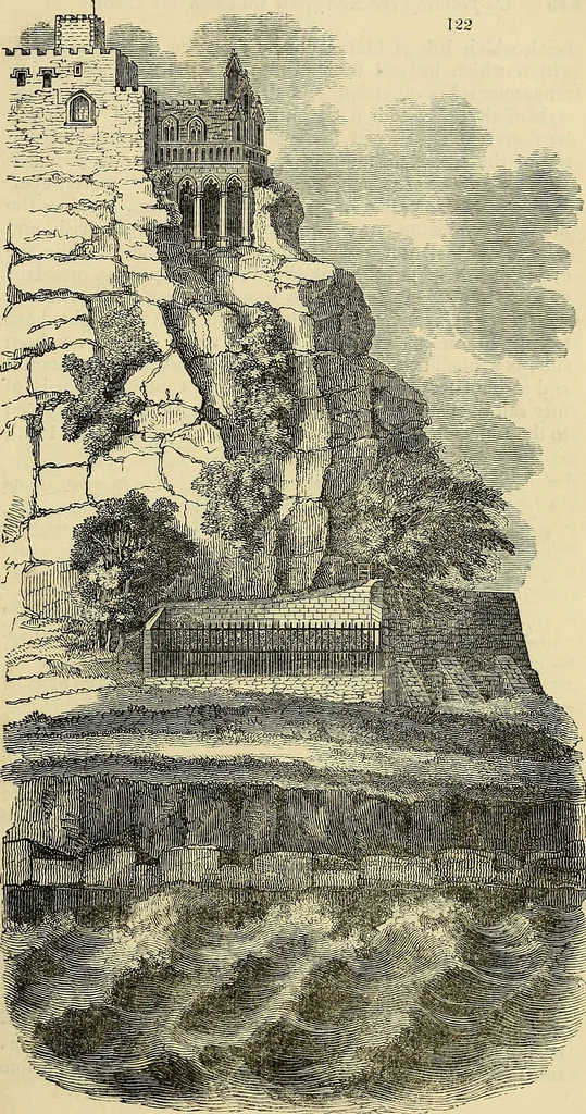 An illustration from The gardener's magazine and register of rural & domestic improvement, 1826, leaf 555