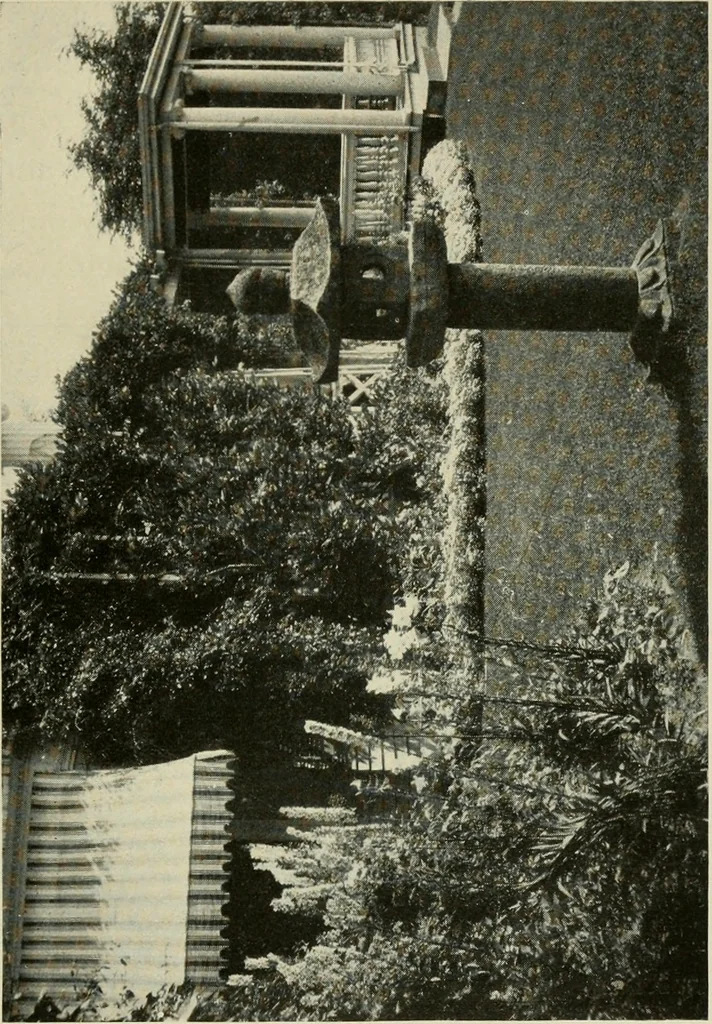 An illustration from The garden and its accessories, 1907, leaf 116