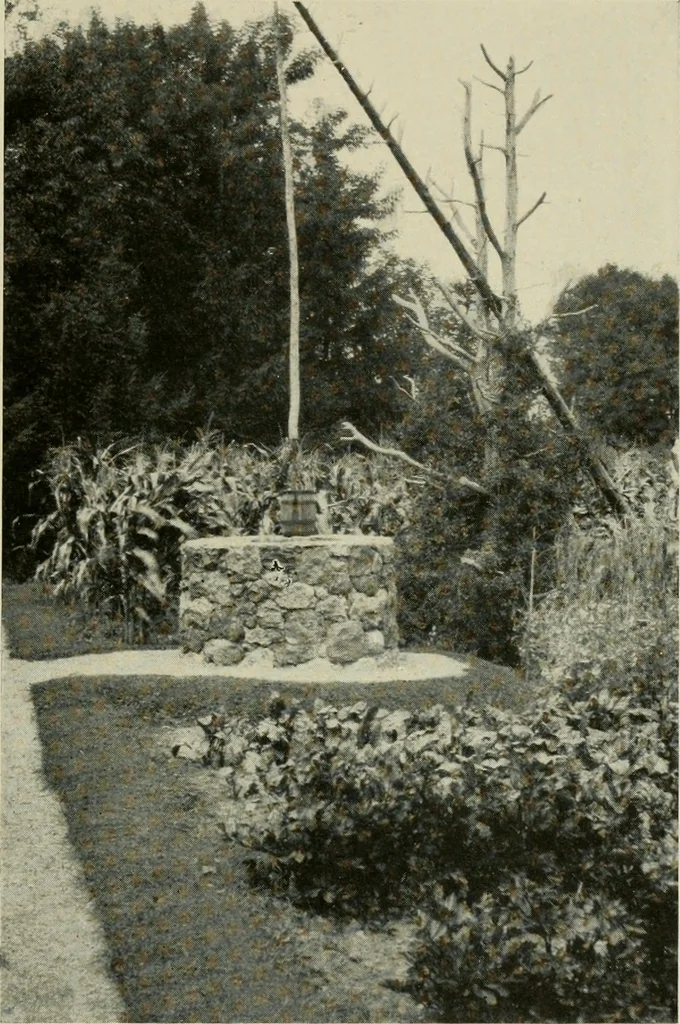 An illustration from The garden and its accessories, 1907, leaf 126