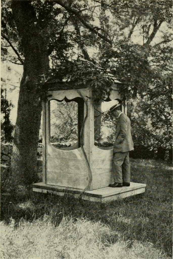 An illustration from The garden and its accessories, 1907, leaf 128