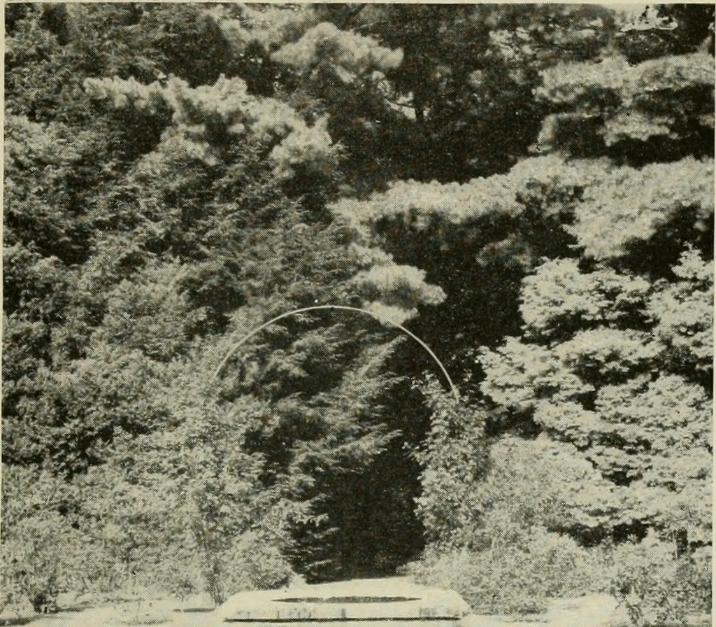 An illustration from The garden and its accessories, 1907, leaf 132