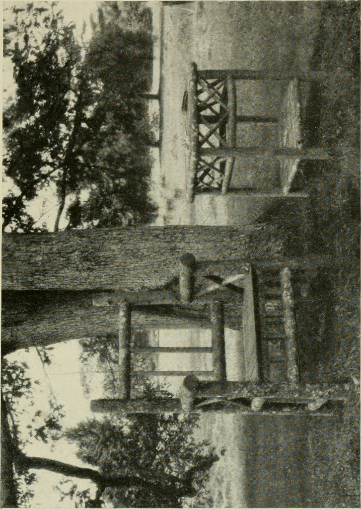 An illustration from The garden and its accessories, 1907, leaf 142