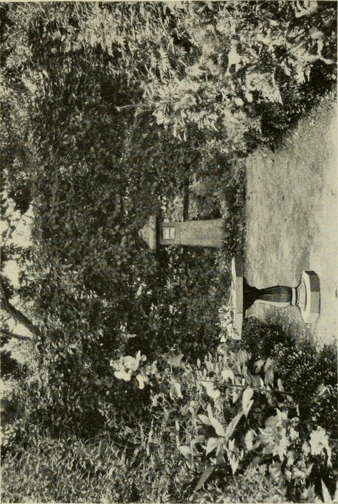 An illustration from The garden and its accessories, 1907, leaf 146