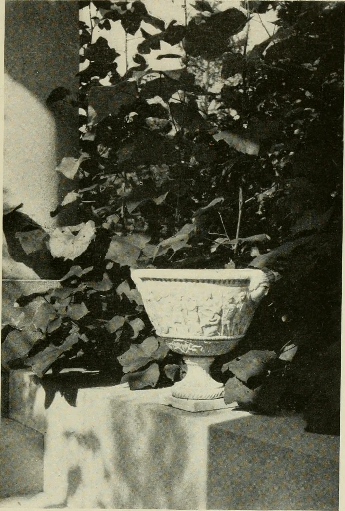 An illustration from The garden and its accessories, 1907, leaf 148