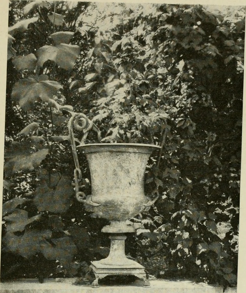 An illustration from The garden and its accessories, 1907, leaf 150
