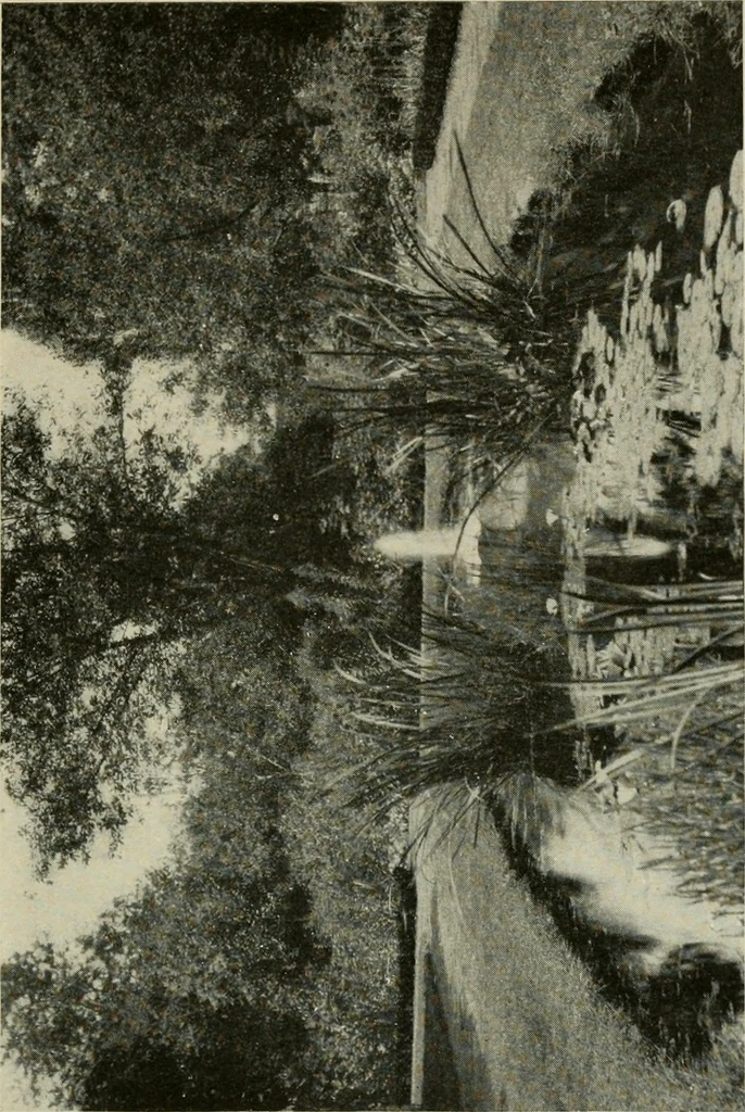 An illustration from The garden and its accessories, 1907, leaf 166