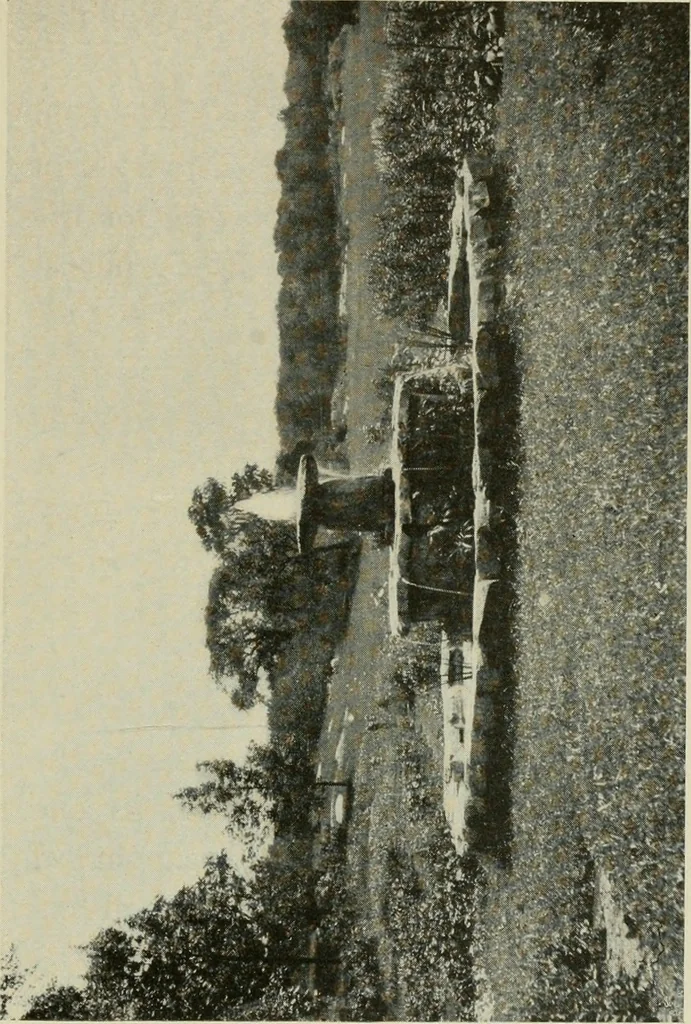 An illustration from The garden and its accessories, 1907, leaf 174