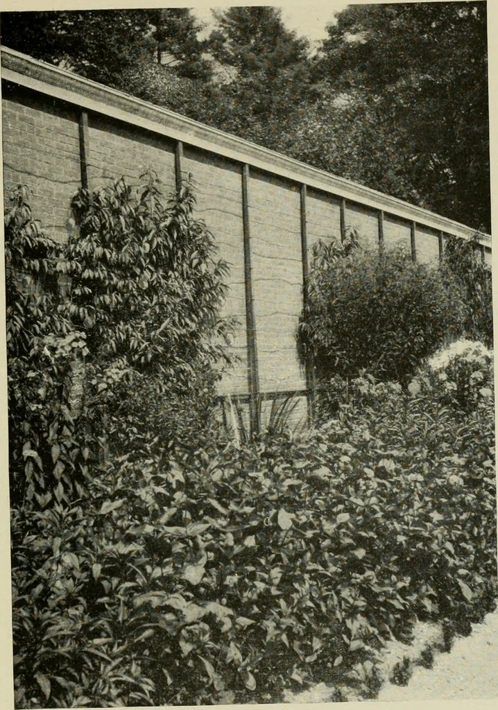 An illustration from The garden and its accessories, 1907, leaf 188