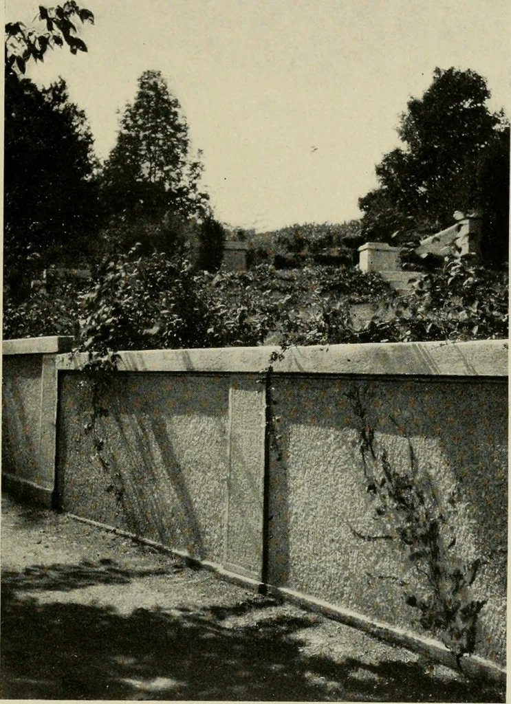 An illustration from The garden and its accessories, 1907, leaf 196