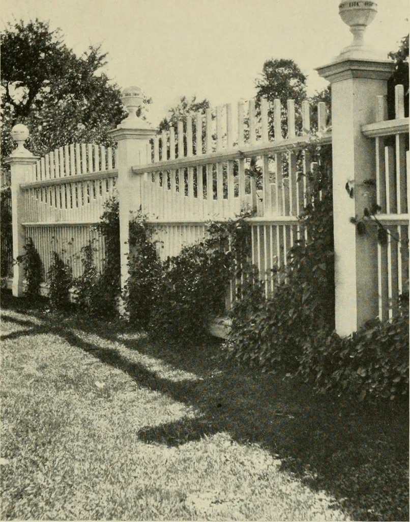 An illustration from The garden and its accessories, 1907, leaf 208