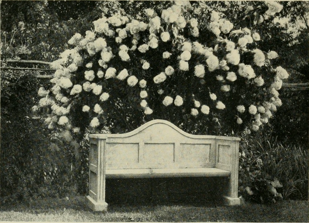 An illustration from The garden and its accessories, 1907, leaf 230