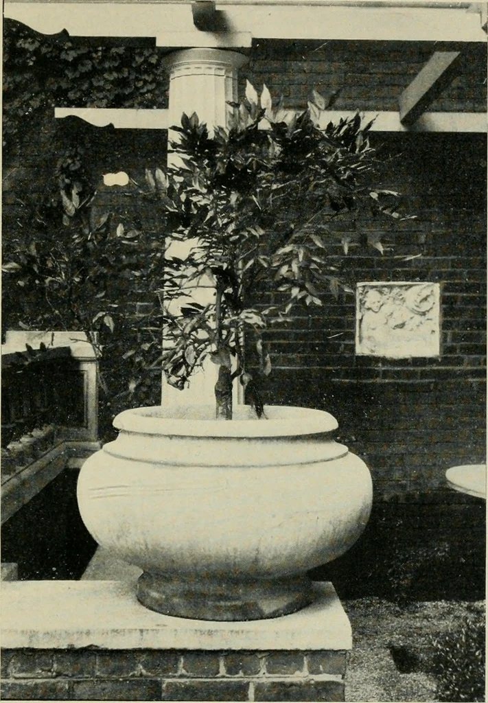 An illustration from The garden and its accessories, 1907, leaf 234