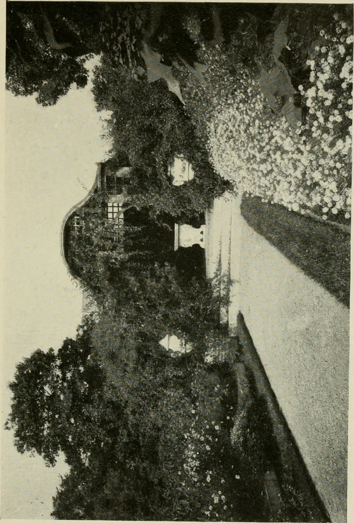 An illustration from The garden and its accessories, 1907, leaf 24