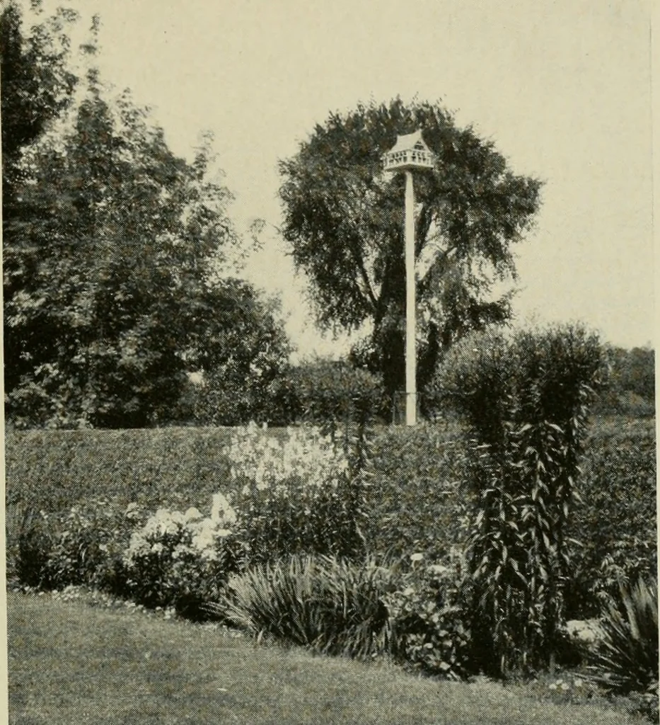 An illustration from The garden and its accessories, 1907, leaf 26