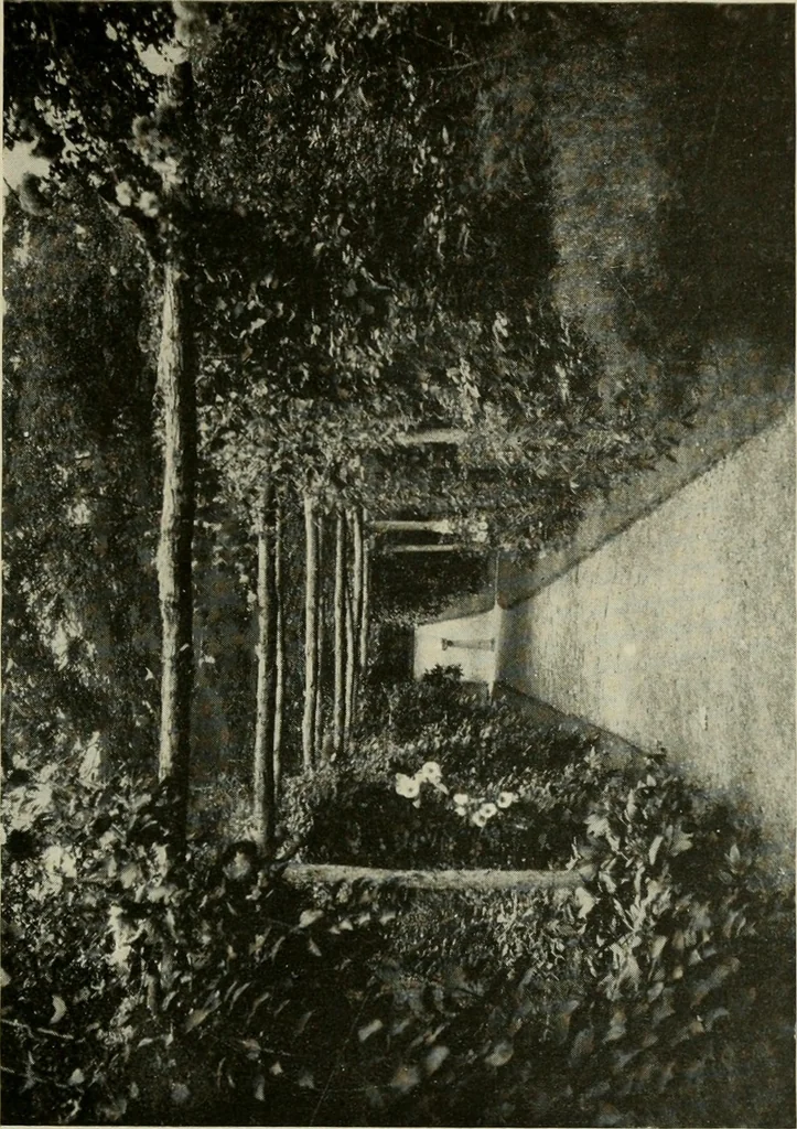 An illustration from The garden and its accessories, 1907, leaf 38