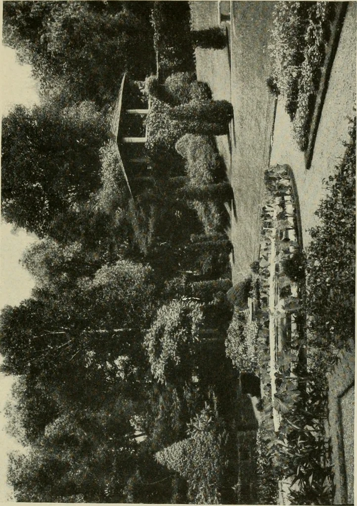 An illustration from The garden and its accessories, 1907, leaf 52