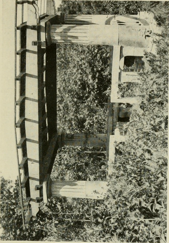An illustration from The garden and its accessories, 1907, leaf 58