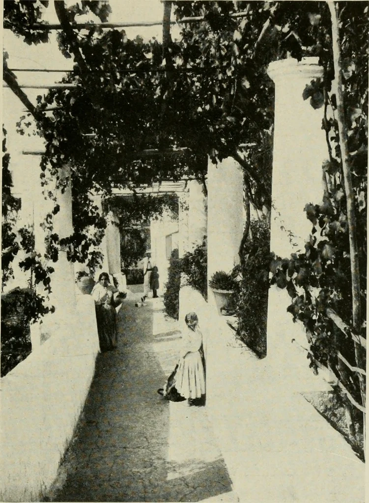 An illustration from The garden and its accessories, 1907, leaf 62
