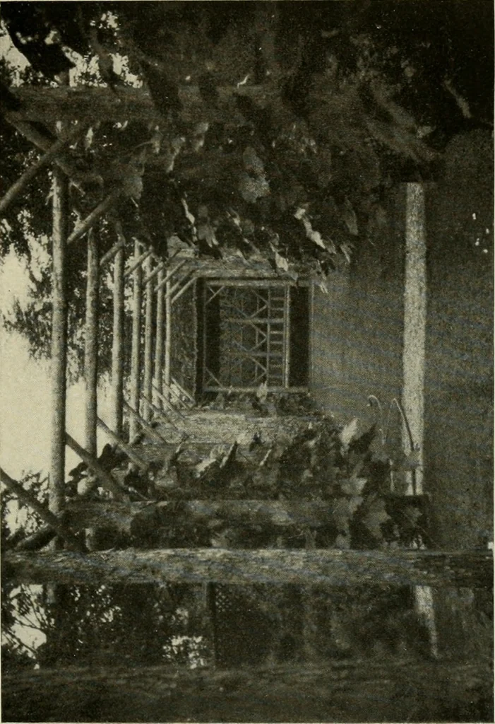 An illustration from The garden and its accessories, 1907, leaf 76