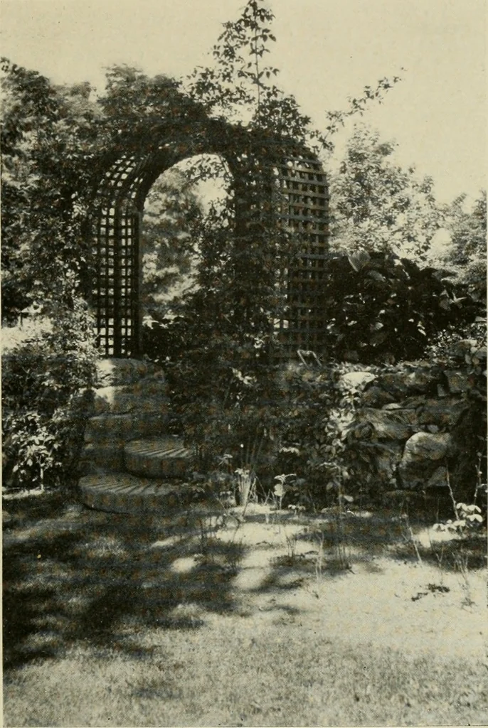 An illustration from The garden and its accessories, 1907, leaf 80
