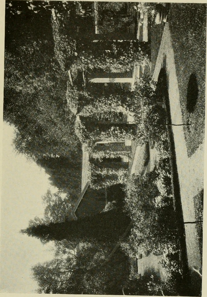 An illustration from The garden and its accessories, 1907, leaf 84
