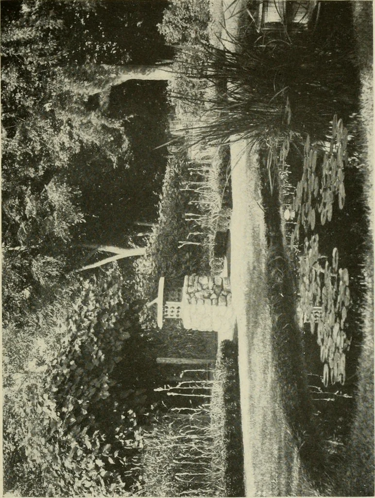 An illustration from The garden and its accessories, 1907, leaf 96