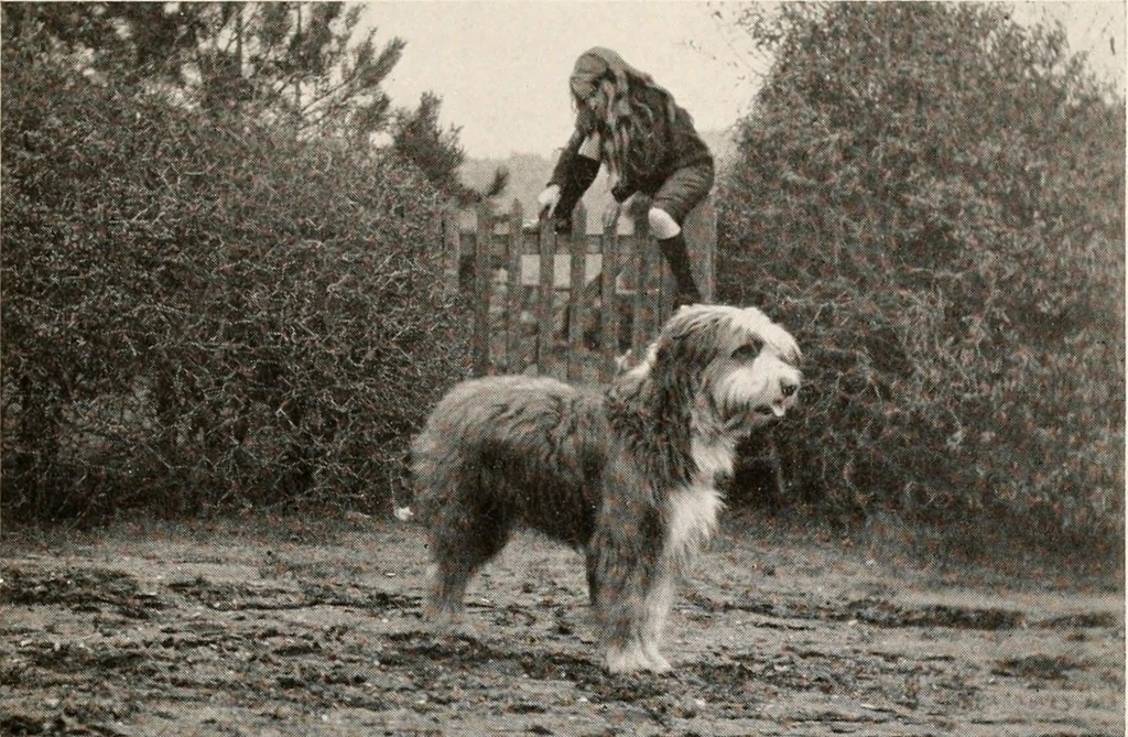 An illustration from The garden of experience, 1922, leaf 163