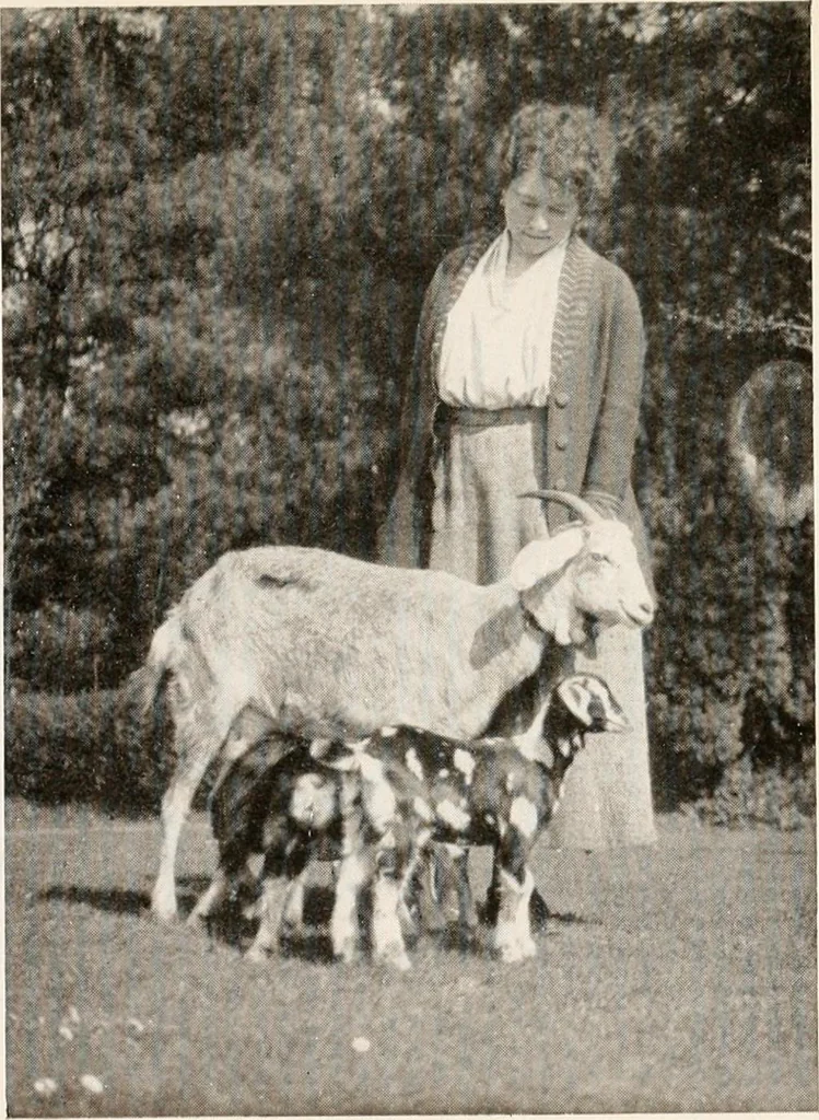 An illustration from The garden of experience, 1922, leaf 185