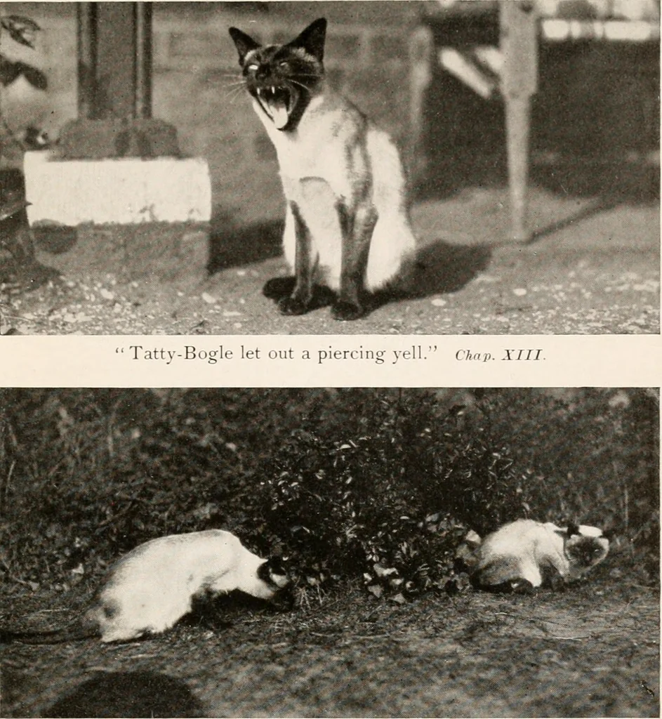 An illustration from The garden of experience, 1922, leaf 261