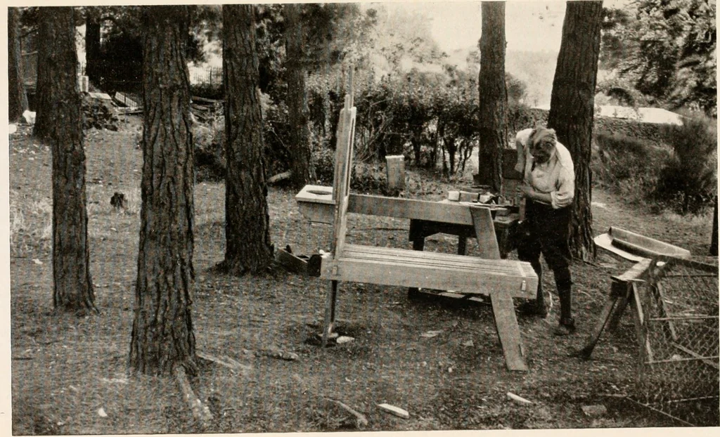 An illustration from The garden of experience, 1922, leaf 293