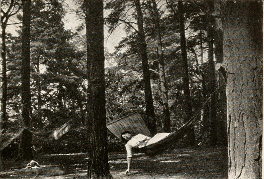 An illustration from The garden of experience, 1922, leaf 45