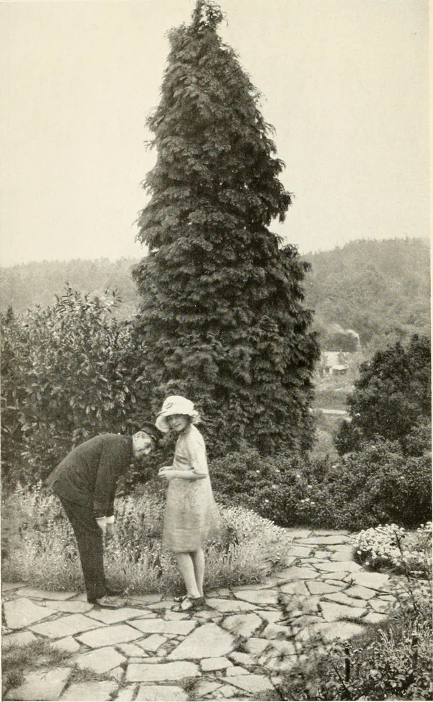 An illustration from The garden of experience, 1922, leaf 6