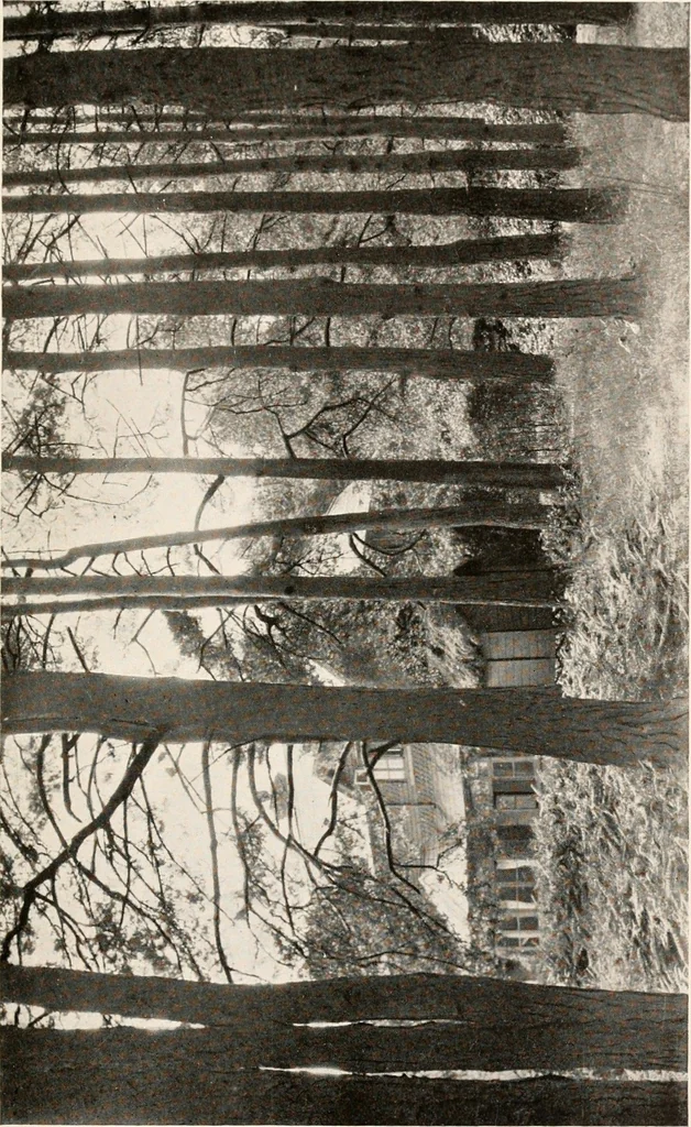 An illustration from The garden of experience, 1922, leaf 85