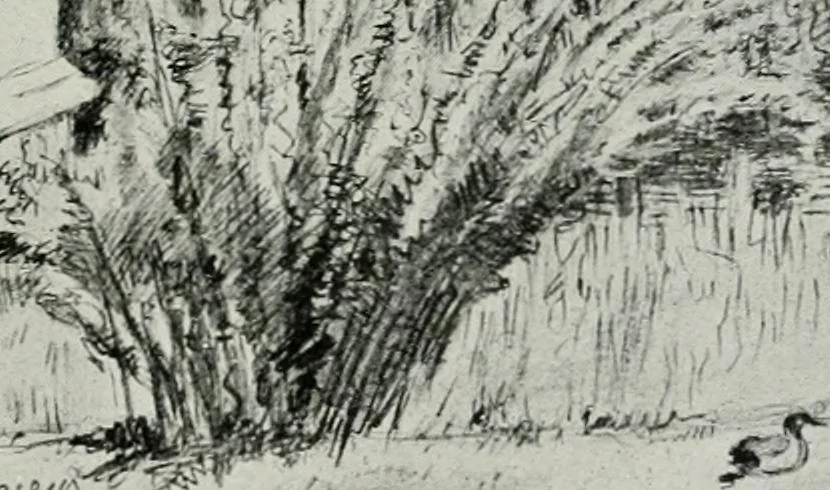 An illustration from Gardens of celebrities and celebrated gardens in and around London, 1918, leaf 208