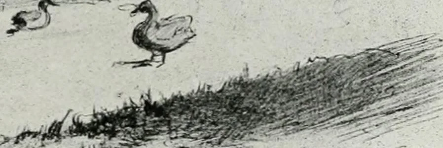 An illustration from Gardens of celebrities and celebrated gardens in and around London, 1918, leaf 208