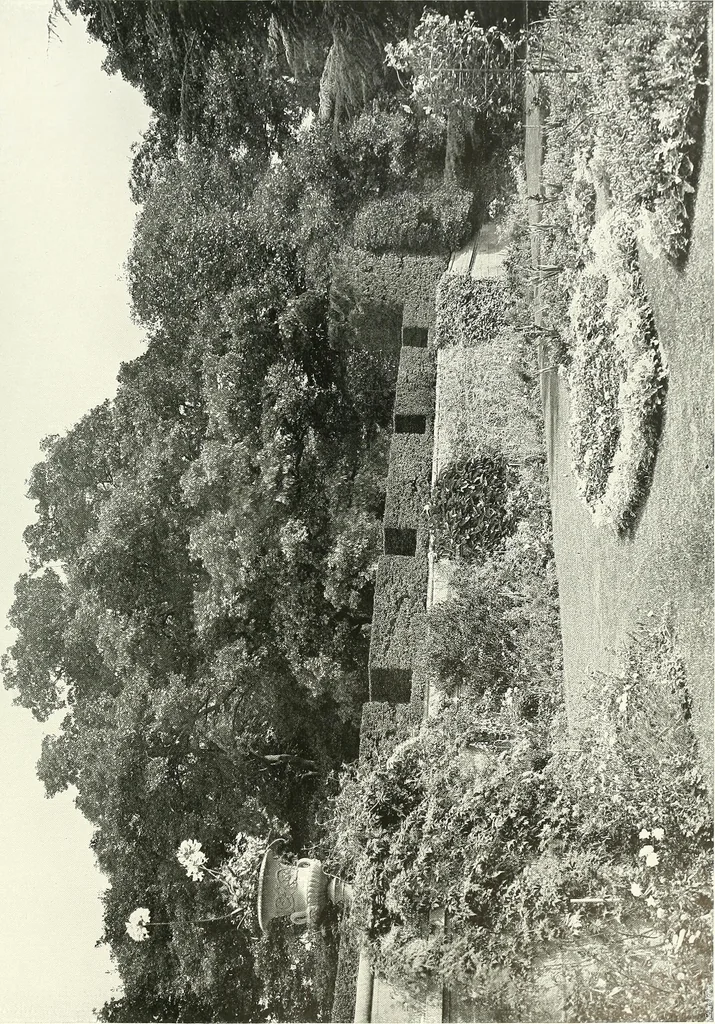 An illustration from Gardens, old and new; the country house & its garden environment, 1900, leaf 104