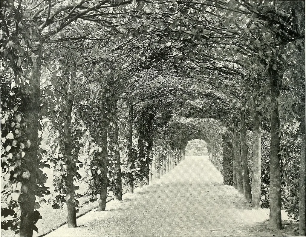 An illustration from Gardens, old and new; the country house & its garden environment, 1900, leaf 105