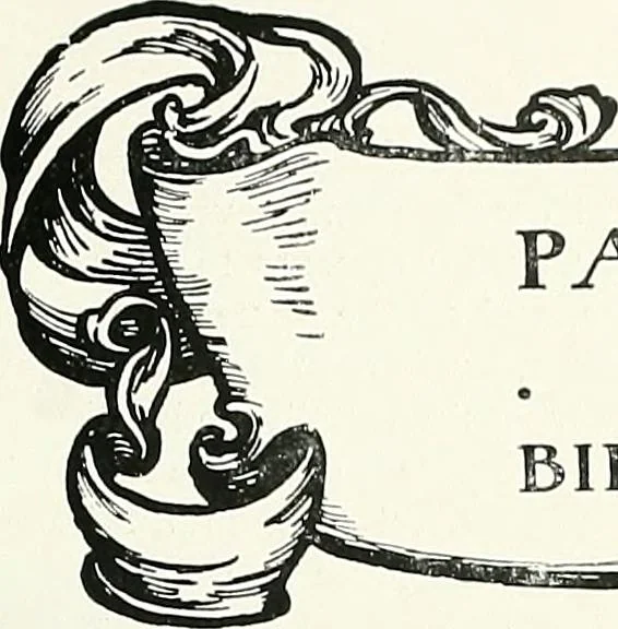 An illustration from Gardens, old and new; the country house & its garden environment, 1900, leaf 108