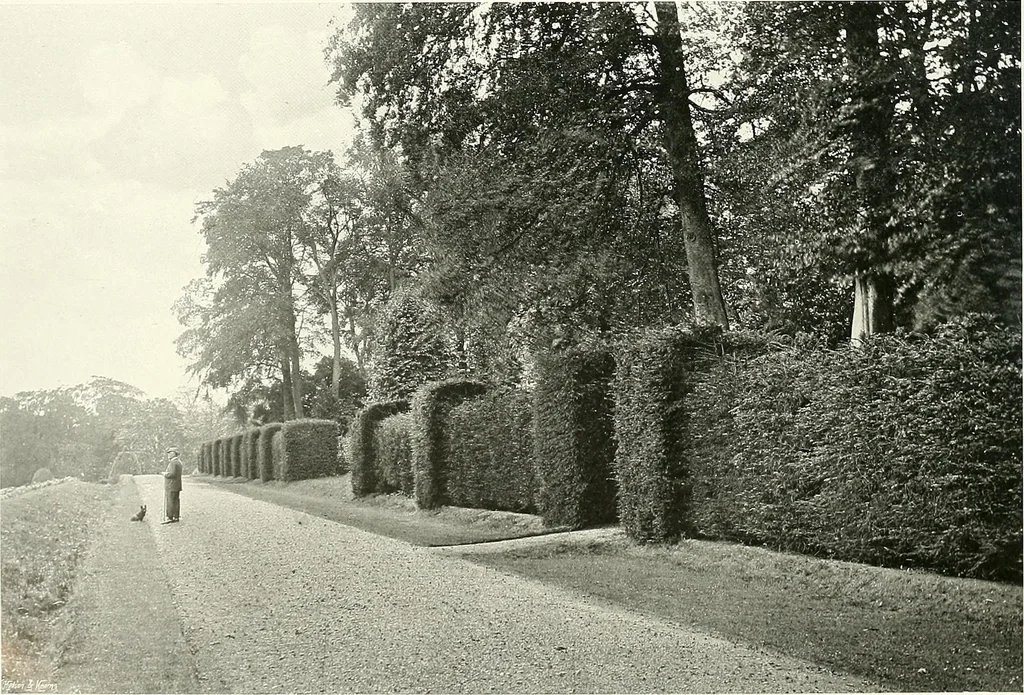 An illustration from Gardens, old and new; the country house & its garden environment, 1900, leaf 151