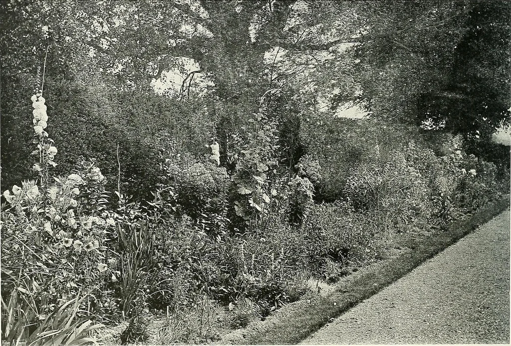 An illustration from Gardens, old and new; the country house & its garden environment, 1900, leaf 185