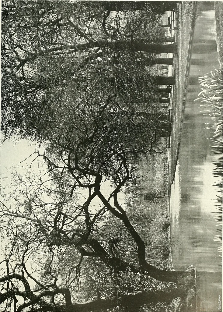 An illustration from Gardens, old and new; the country house & its garden environment, 1900, leaf 20