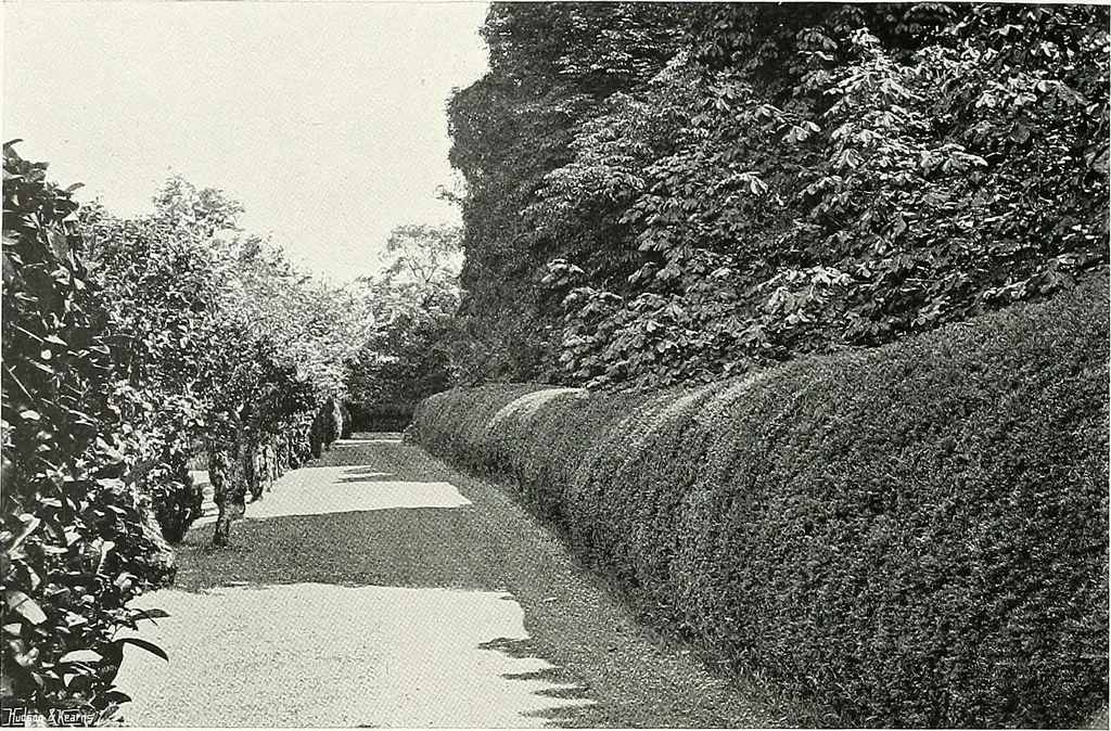 An illustration from Gardens, old and new; the country house & its garden environment, 1900, leaf 249