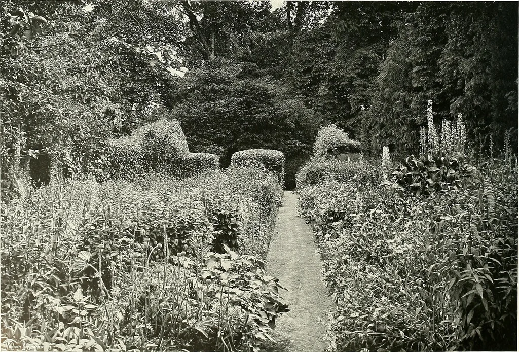 An illustration from Gardens, old and new; the country house & its garden environment, 1900, leaf 249