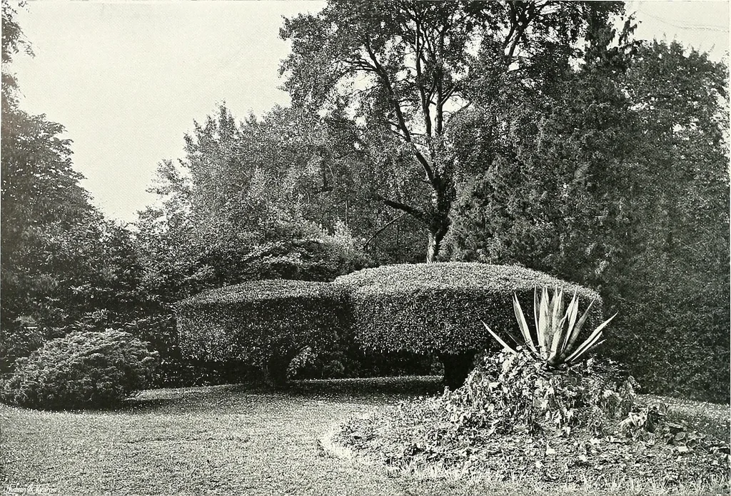 An illustration from Gardens, old and new; the country house & its garden environment, 1900, leaf 251