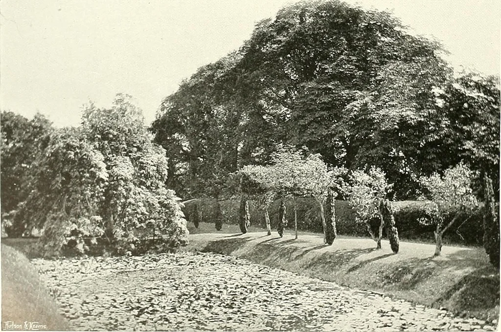 An illustration from Gardens, old and new; the country house & its garden environment, 1900, leaf 251