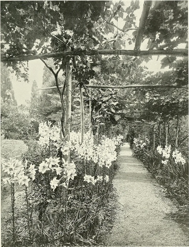 An illustration from Gardens, old and new; the country house & its garden environment, 1900, leaf 40